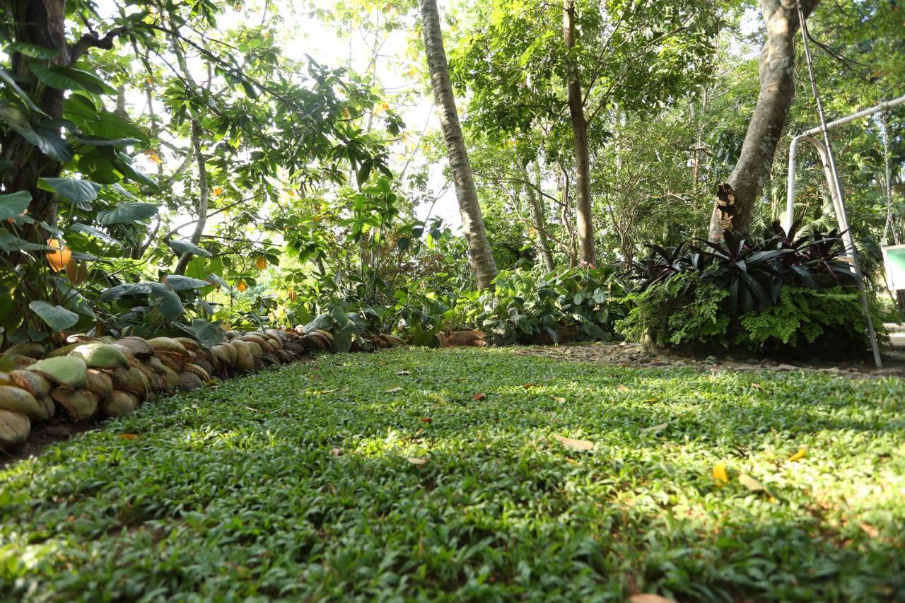 Tree Breeze Inn Kandy Exterior photo