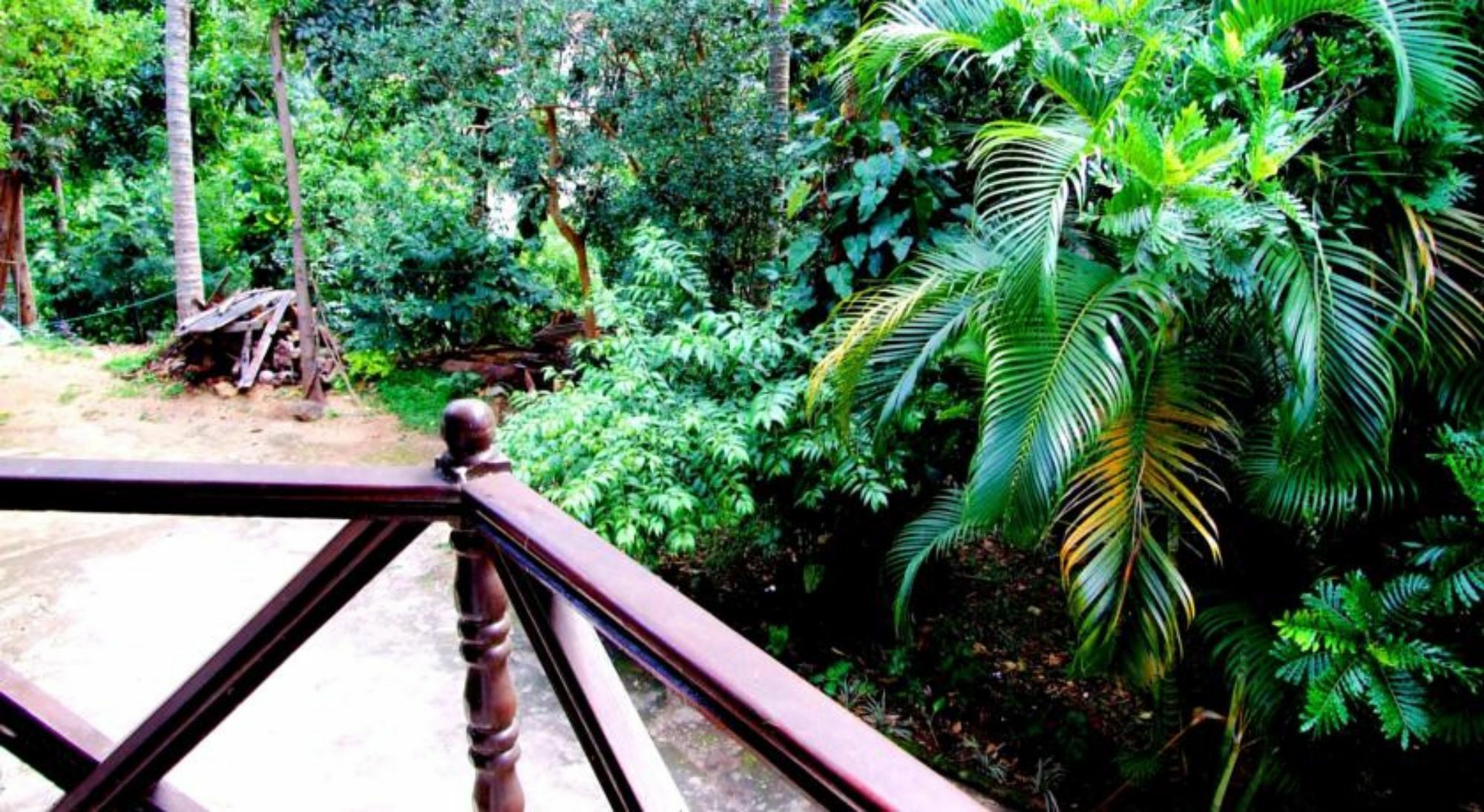 Tree Breeze Inn Kandy Exterior photo